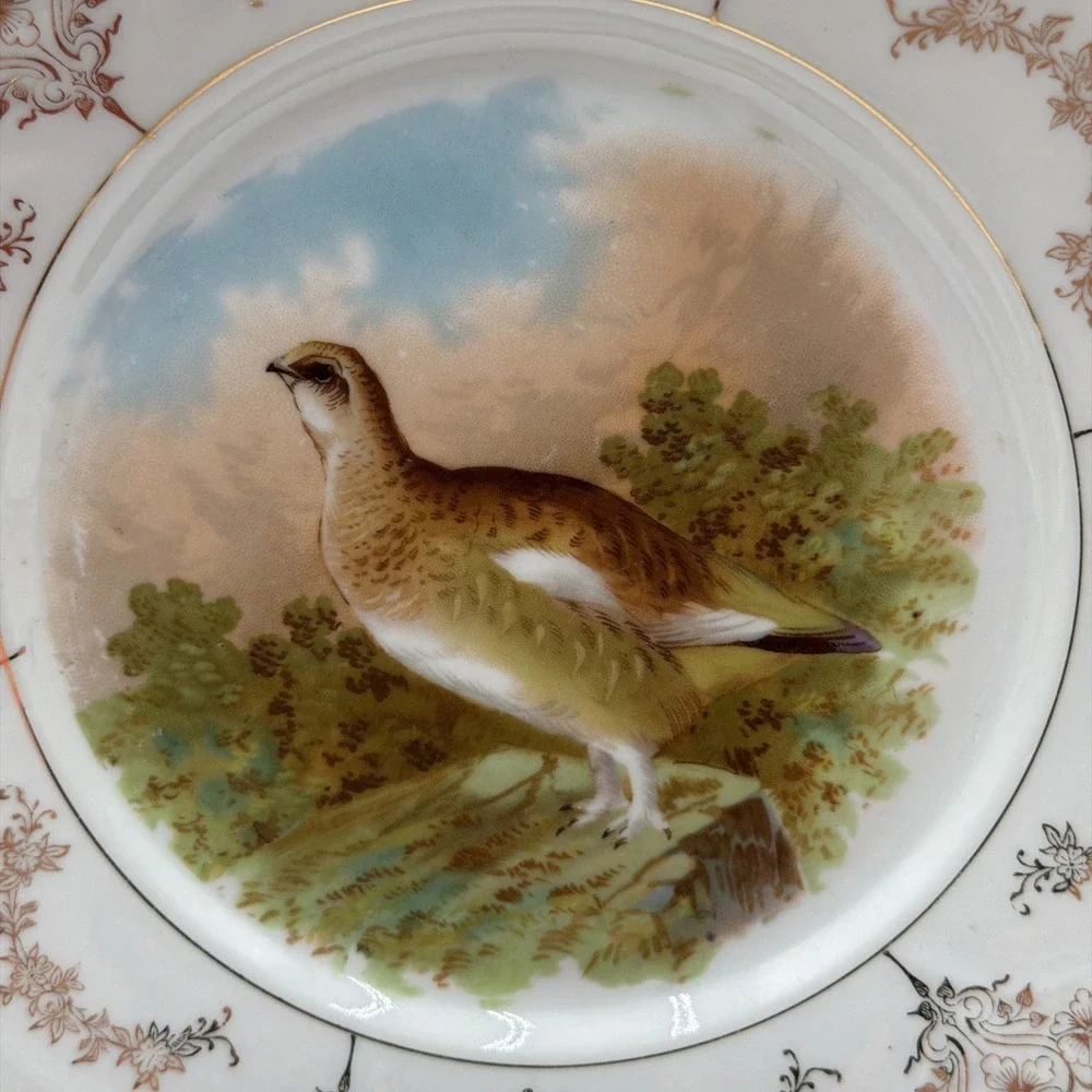 Antique  Mignon  Z. S. & Co Bavaria Grouse Plate 7 1/2